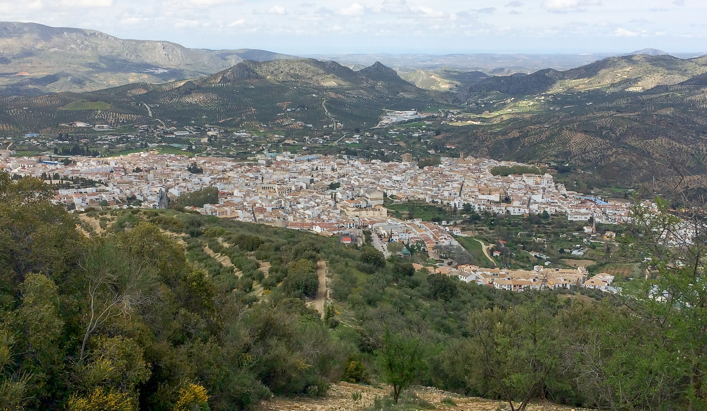 Azafatas y personal de eventos en Priego de Córdoba